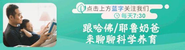 安联 海底动物大探秘之海象