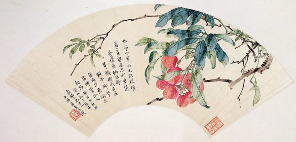 维嘉优配 苏轼笔下的岭南荔枝小宇宙
