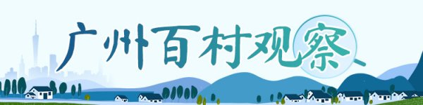 融可赢 番禺榄山村：村民住别墅，创业再出发｜广州百村观察